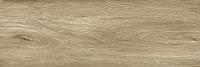 Учкудук GT206026602MСR 19,7*60*9,5