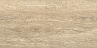 Брентвуд/Brentwood GFA3060BWD24R 30*60